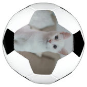 白猫 | Zazzle_Growstore サッカーボール (回転)