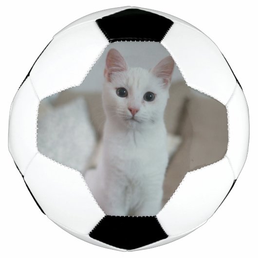 白猫 | Zazzle_Growstore サッカーボール (正面)