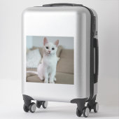 白猫 | Zazzle_Growstore シール (スーツケース)