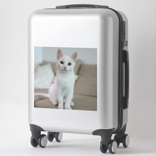 白猫 | Zazzle_Growstore シール (スーツケース)