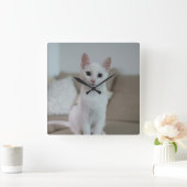 白猫 | Zazzle_Growstore スクエア壁時計 (ホーム)