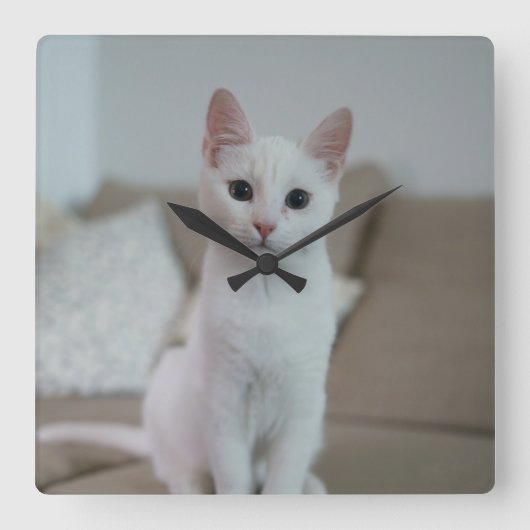 白猫 | Zazzle_Growstore スクエア壁時計 (正面)