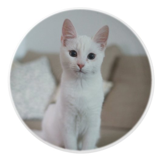 白猫 | Zazzle_Growstore セラミックノブ (正面)