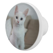 白猫 | Zazzle_Growstore セラミックノブ (右)