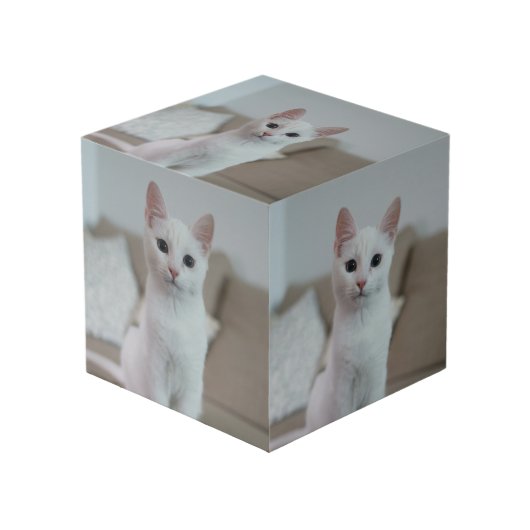 白猫 | Zazzle_Growstore フォトキューブ (正面アングル)
