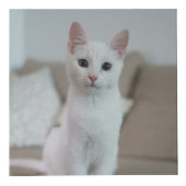白猫 | Zazzle_Growstore フォトキューブ (正面)