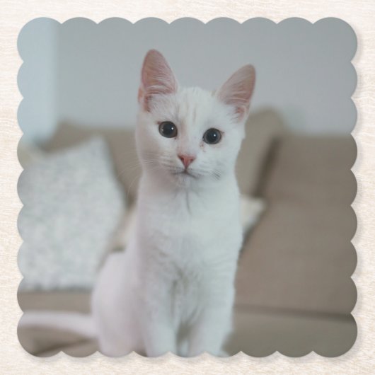白猫 | Zazzle_Growstore ペーパーコースター (正面)