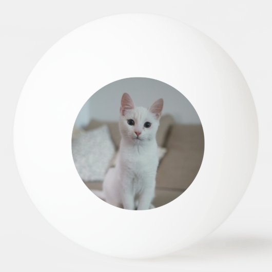 白猫 | Zazzle_Growstore 卓球ボール (正面)