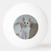 白猫 | Zazzle_Growstore 卓球ボール (裏面)