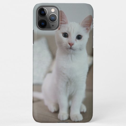 白猫 | Zazzle_Growstore iPhoneケース (裏面)