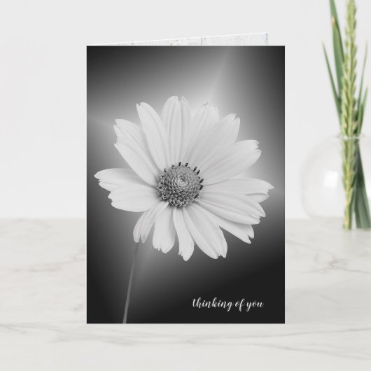 白白熱［赤熱］光を放ついコスモス考えるの君たち カード (正面)