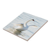 白白鳥シグナス タイル (側面)