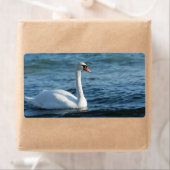 白白鳥シグナス ラベル (インサイチュ)