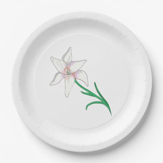 白百合花 ペーパープレート (正面)