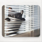 白目隠しの黒猫 マウスパッド (正面)