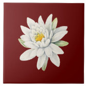 白睡蓮 タイル (正面)