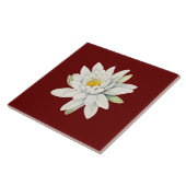 白睡蓮 タイル (側面)