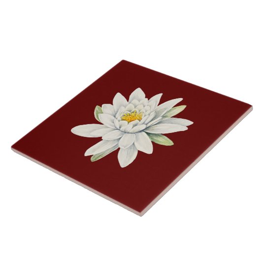 白睡蓮 タイル (側面)