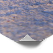 白砂のヒトデ ポスター (角)