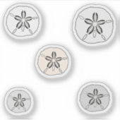 白砂ドル シール (正面)