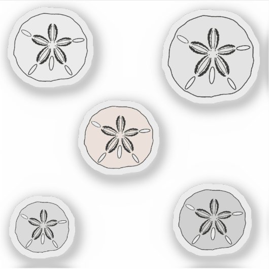 白砂ドル シール (正面)