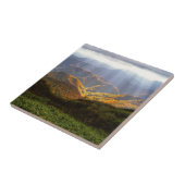 白神山地に照らす太陽 タイル (側面)