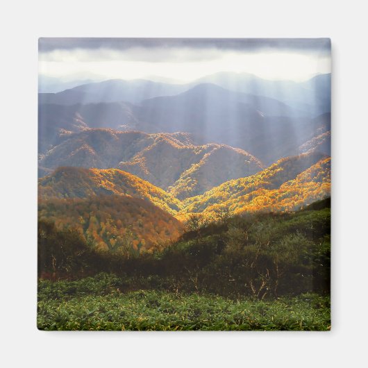 白神山地に照らす太陽 マグネット (正面)