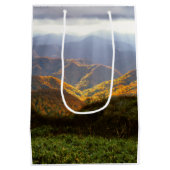 白神山地に照らす太陽 ミディアムペーパーバッグ (裏面)