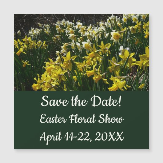 白紙水仙の繊細な白い花 (正面)