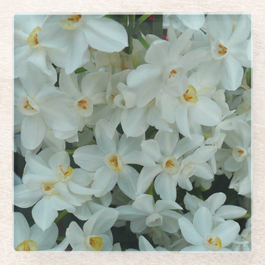 白紙水仙の繊細な白い花 ガラスコースター (正面)