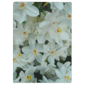 白紙水仙の繊細な白い花 クリップボード (裏面)