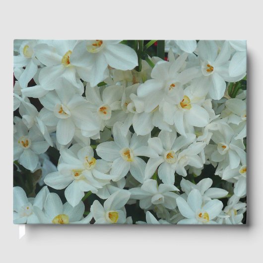 白紙水仙の繊細な白い花 ゲストブック (正面)