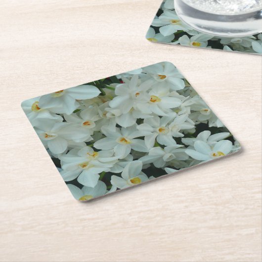 白紙水仙の繊細な白い花 スクエアペーパーコースター (アングル)