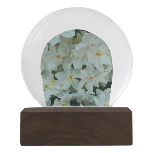 白紙水仙の繊細な白い花 スノーグローブ (正面)