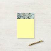 白紙水仙の繊細な白い花 ポストイット (デスク上)