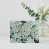 白紙水仙の繊細な白い花 ポストカード (スタンド正面)