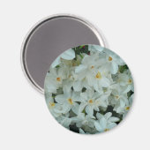 白紙水仙の繊細な白い花 マグネット (正面/裏面)