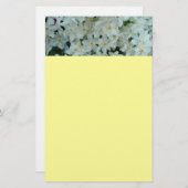 白紙水仙の繊細な白い花 便箋 (正面/裏面)