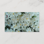 白紙水仙の繊細な白い花 名刺 (裏面)