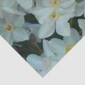 白紙水仙の繊細な白い花 薄葉紙 (詳細)