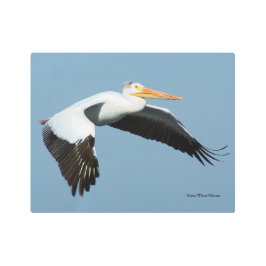 白素晴らしいペリカンメタリックウォールアート メタルプリント