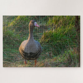 白素晴らしい辺縁のガチョウ ジグソーパズル