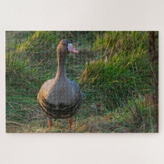 白素晴らしい辺縁のガチョウ ジグソーパズル (横)