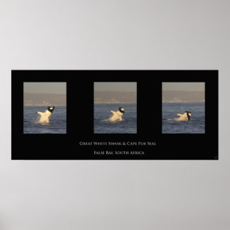 白素晴らしが封印する ポスター