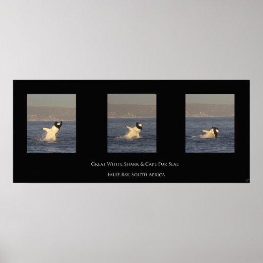 白素晴らしが封印する ポスター (正面)