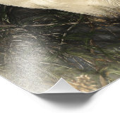 白素晴らしアグレ水鳥デジタルアート絵画ズ フォトプリント            (角)