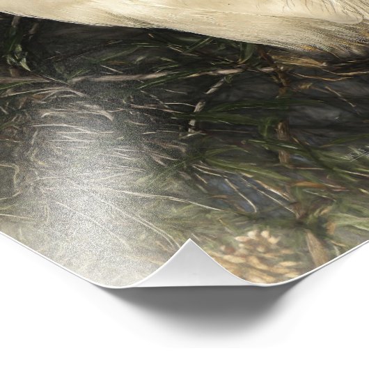 白素晴らしアグレ水鳥デジタルアート絵画ズ フォトプリント            (角)