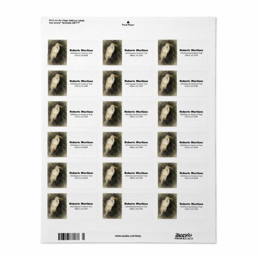 白素晴らしアグレ水鳥デジタルアート絵画ズ ラベル (フルシート)