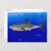 白素晴らしサメはがき ポストカード (正面/裏面)
