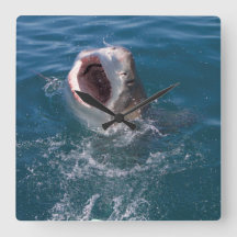 白素晴らしサメ時計